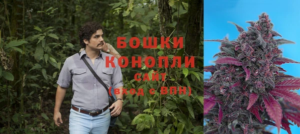 прущие крисы Тавда