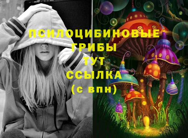 тгк Сясьстрой